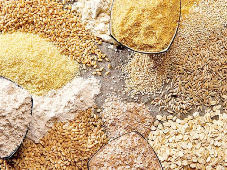 نحوه ثبت سفارش واردات مواد غذایی؛ راهنمای کامل، قانونی و به‌روز